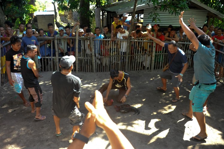 _DSC2634-2 (Medium).jpg