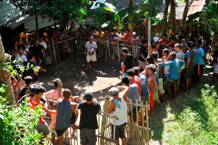 _DSC2650 (Medium).JPG