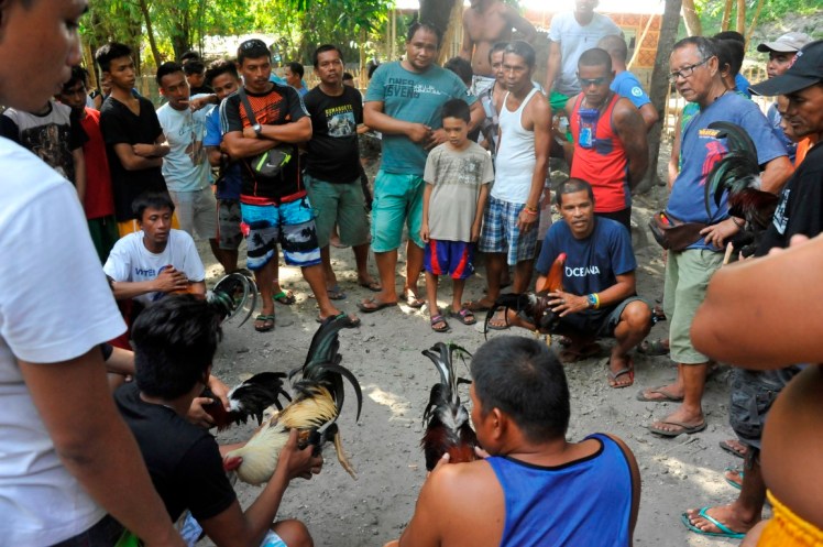 _DSC2691 (Medium).JPG