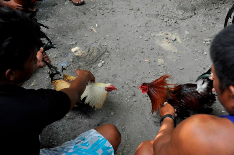 _DSC2694 (Medium).JPG