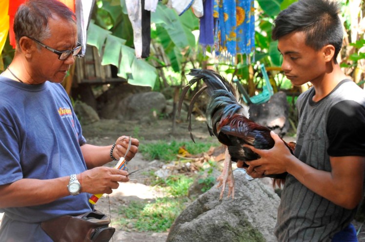 _DSC2699 (Medium).JPG