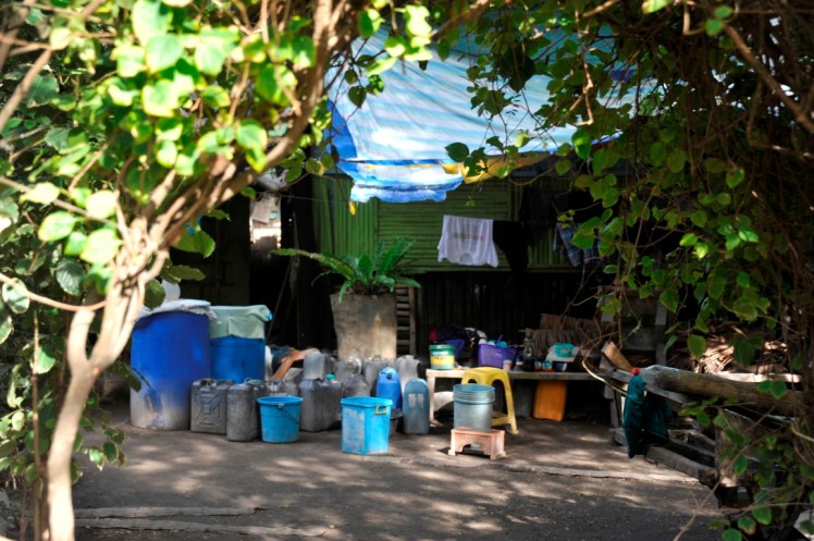 _DSC2719 (Medium).JPG