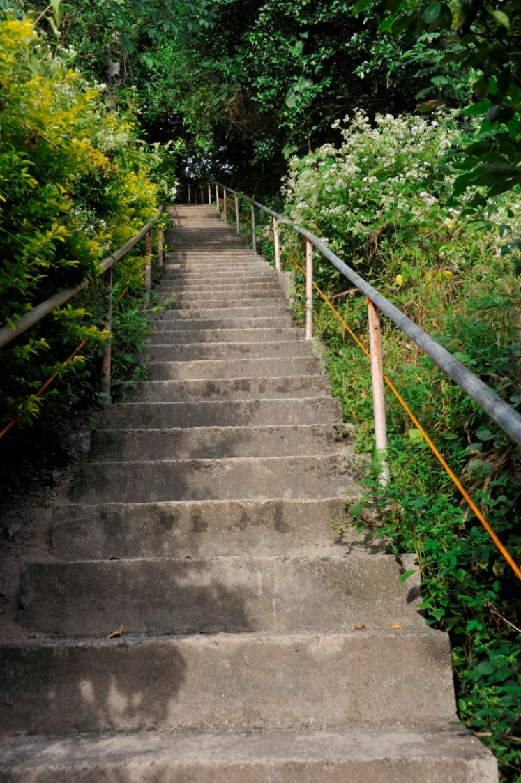 _DSC2775 (Medium).JPG