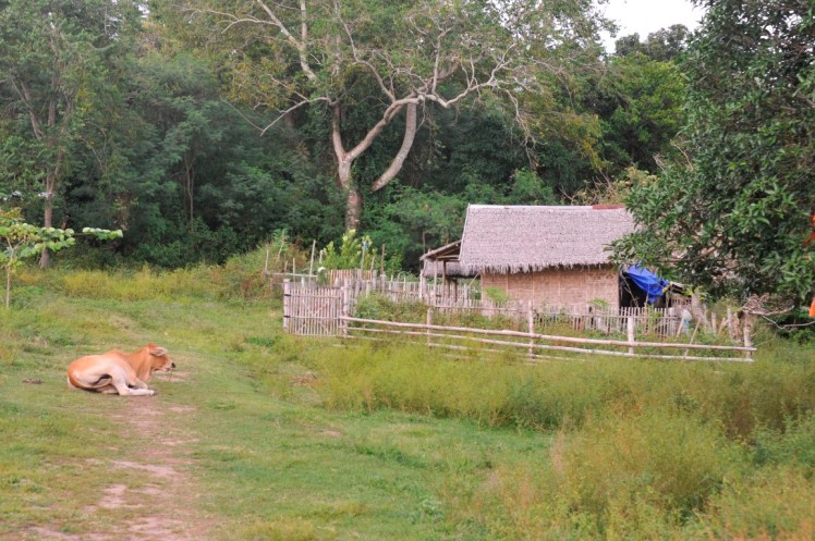 _DSC2781 (Medium).JPG