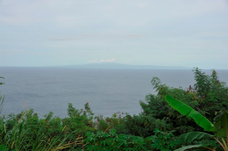 _DSC2789 (Medium).JPG