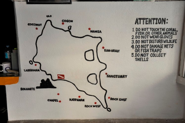 _DSC2798 (Medium).JPG