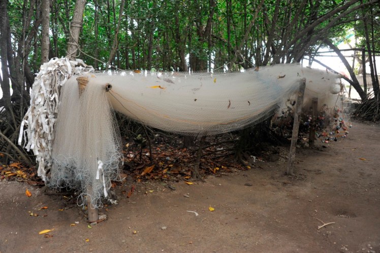 _DSC2818 (Medium).JPG