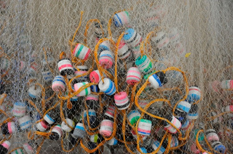 _DSC2820 (Medium).JPG