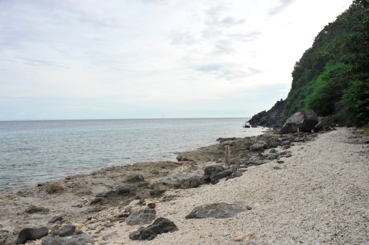 _DSC2825 (Medium).JPG