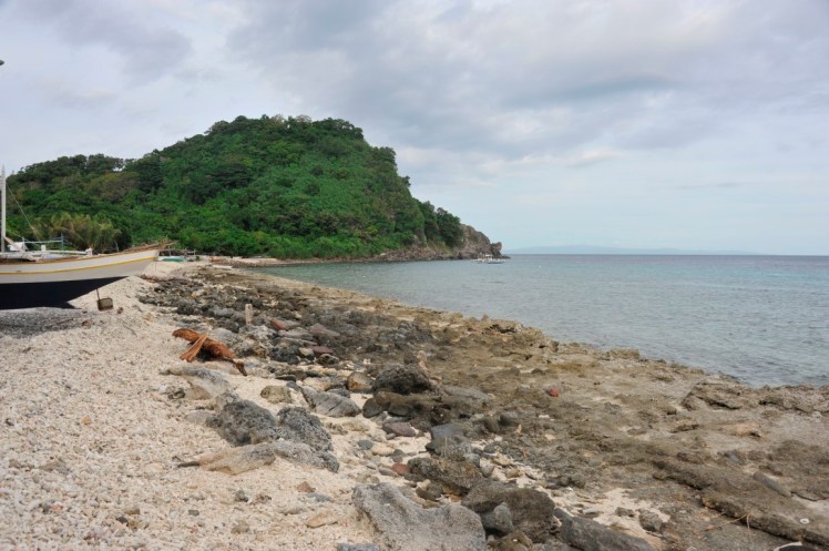 _DSC2826 (Medium).JPG