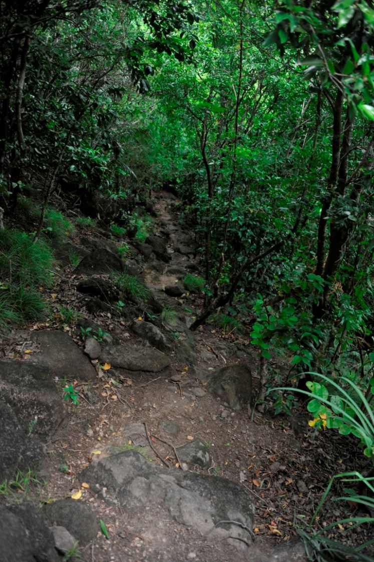 _DSC2828 (Medium).JPG