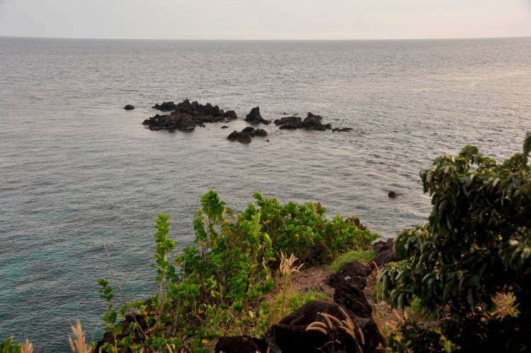 _DSC2834 (Medium).JPG