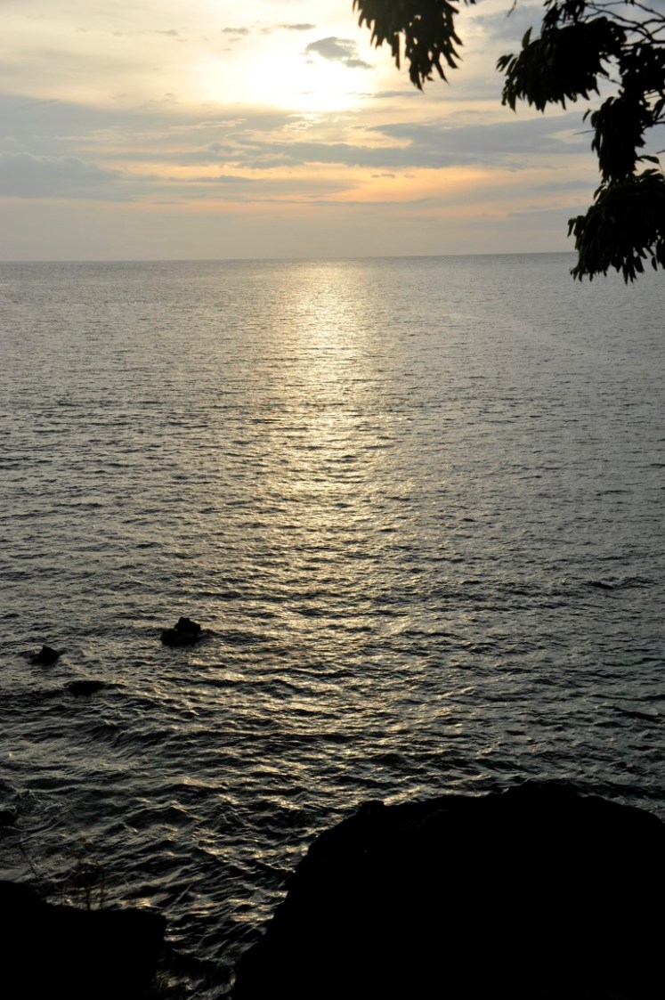 _DSC2837 (Medium).JPG