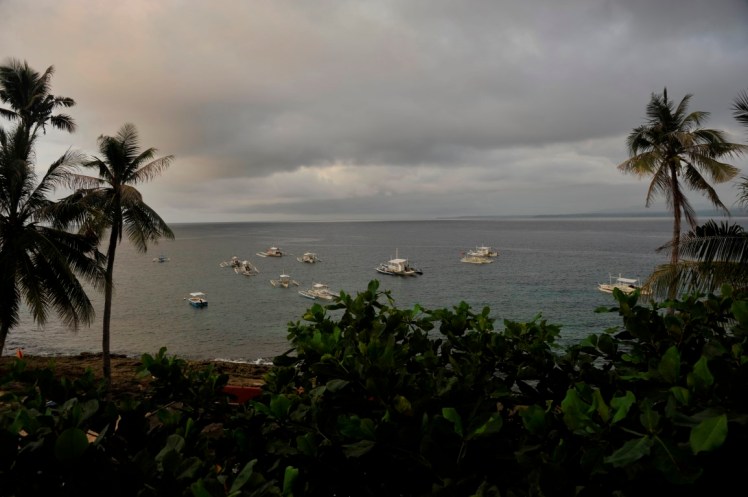 _DSC2871 (Medium).JPG