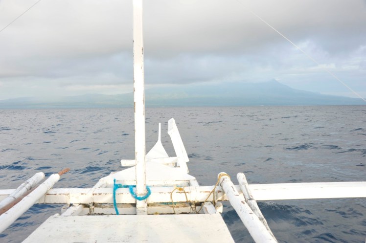 _DSC2895 (Medium).JPG