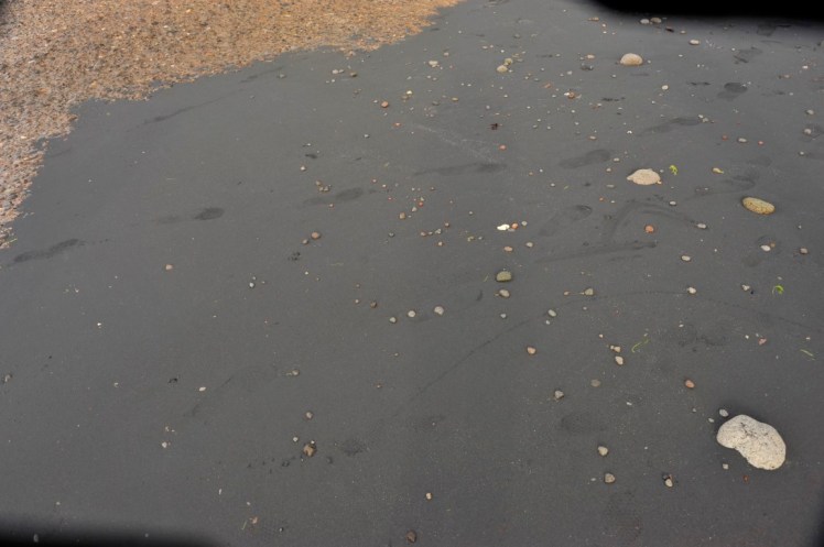 _DSC2919 (Medium).JPG