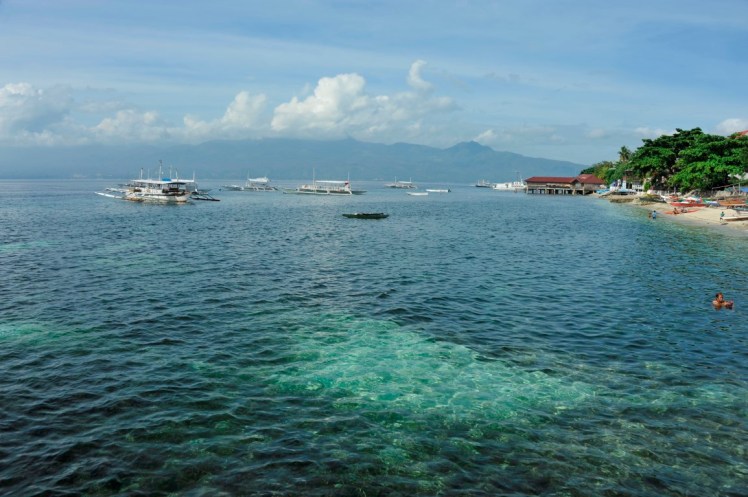 _DSC2970 (Medium).JPG