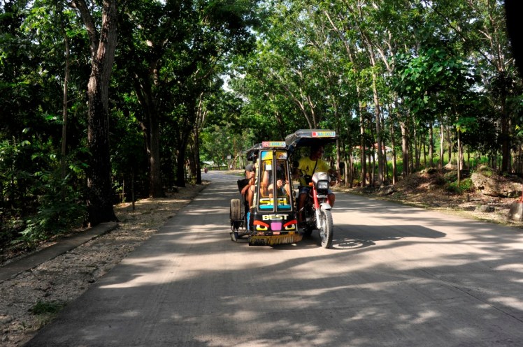 _DSC2980 (Medium).JPG