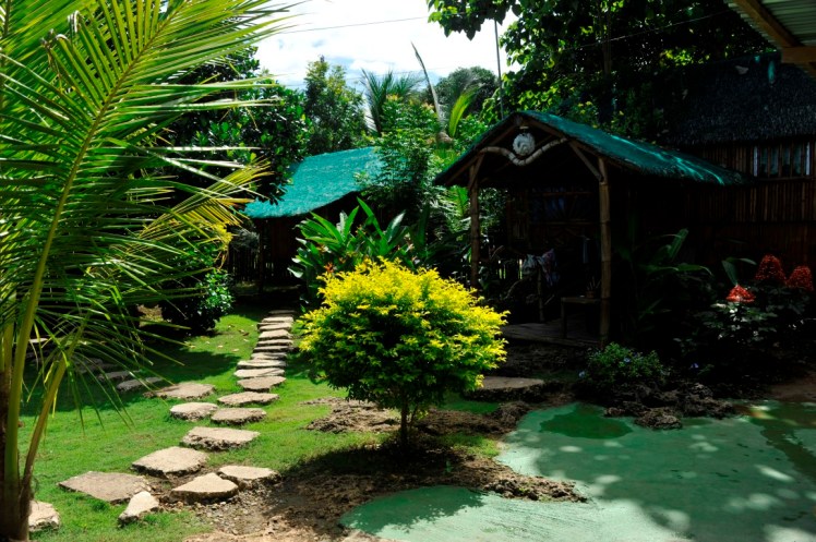 _DSC3023 (Medium).JPG