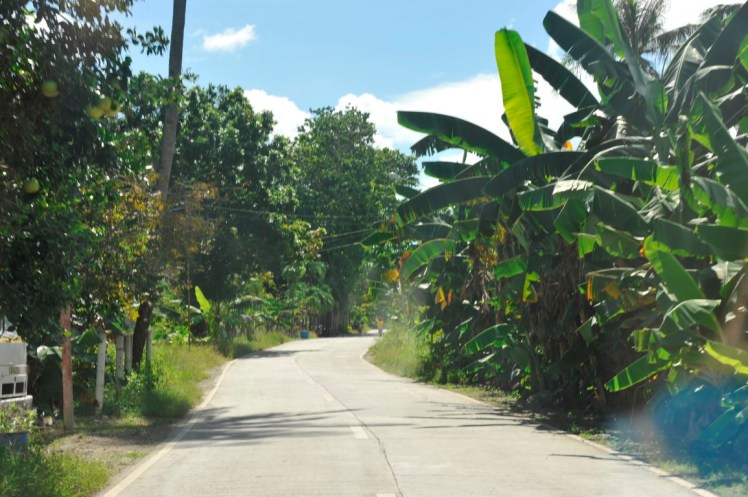 _DSC3029 (Medium).JPG