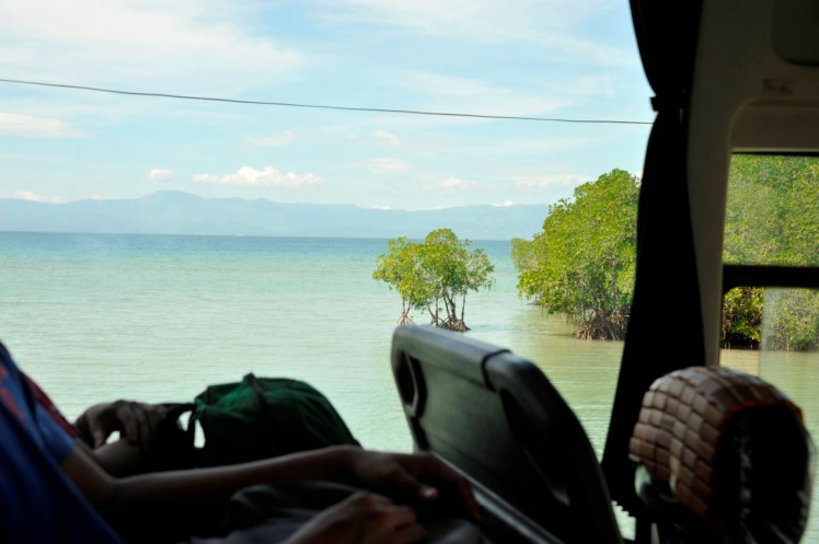 _DSC3045 (Medium).JPG