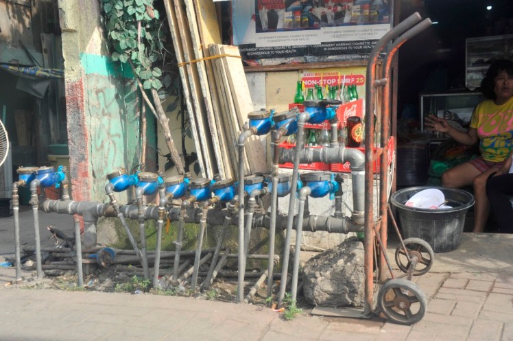 _DSC3100 (Medium).JPG