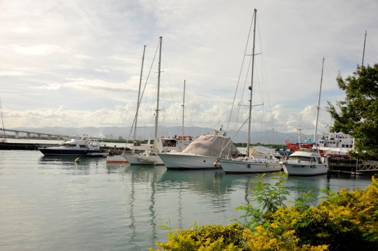 _DSC3110 (Medium).JPG