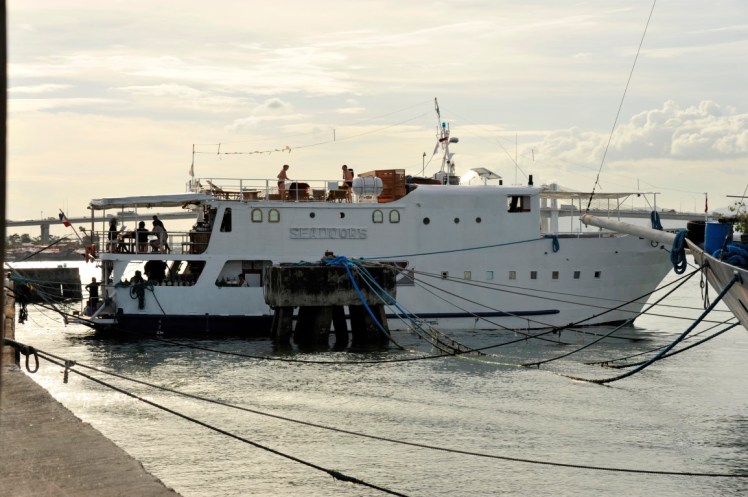 _DSC3112 (Medium).JPG