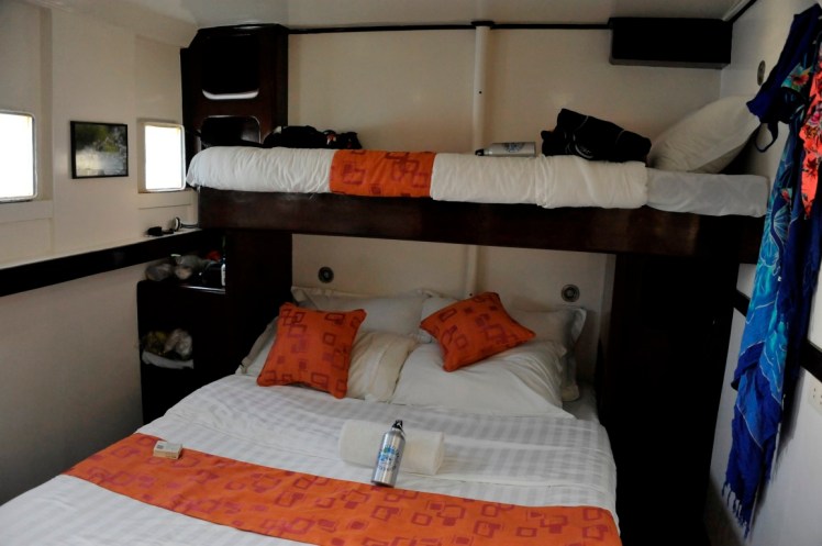 _DSC3115 (Medium).JPG