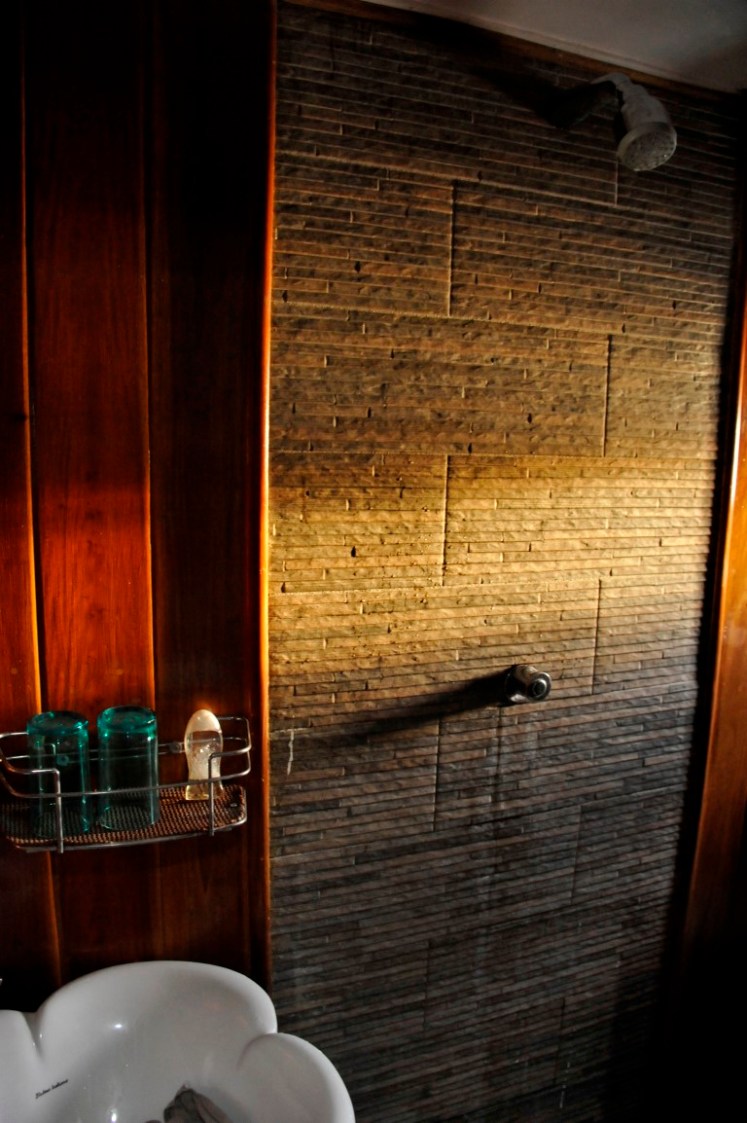 _DSC3118 (Medium).JPG