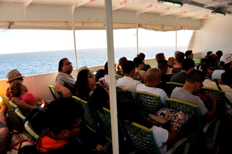 _DSC3895 (Medium).JPG