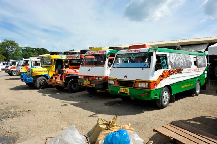 _DSC3941 (Medium).JPG