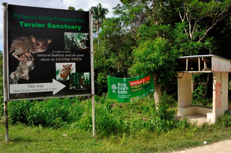 _DSC3946 (Medium).JPG