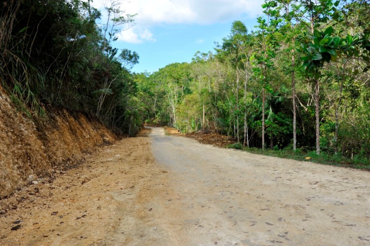 _DSC3949 (Medium).JPG