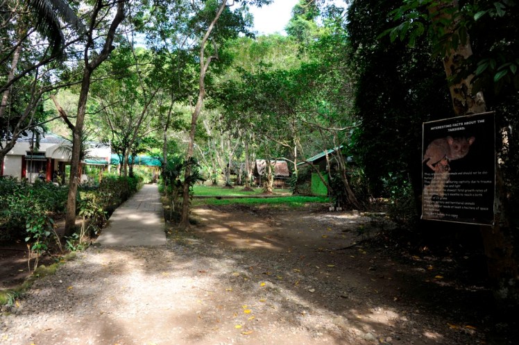 _DSC3952 (Medium).JPG