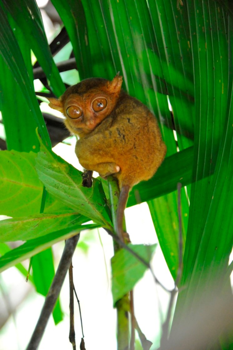 _DSC3983 (Medium).JPG