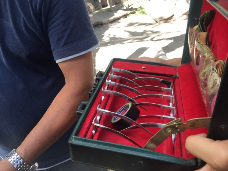 IMG_0281 (Medium).JPG