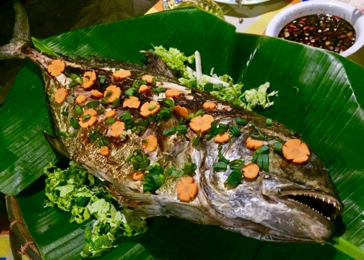 IMG_0305 (Medium).JPG