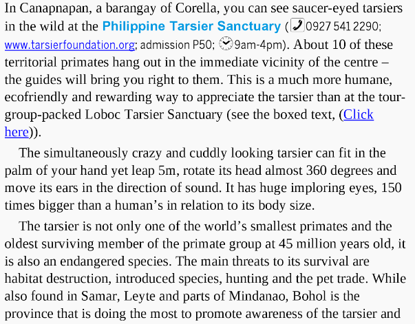 lonely-planet_tarsier