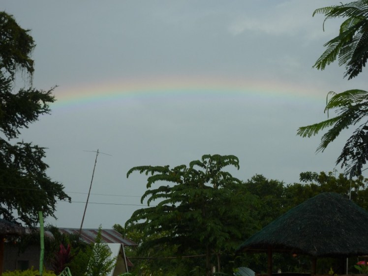 P1090538 (Medium).JPG