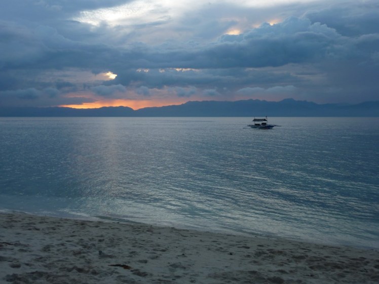 P1090542 (Medium).JPG