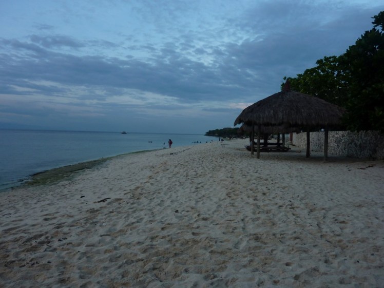 P1090546 (Medium).JPG