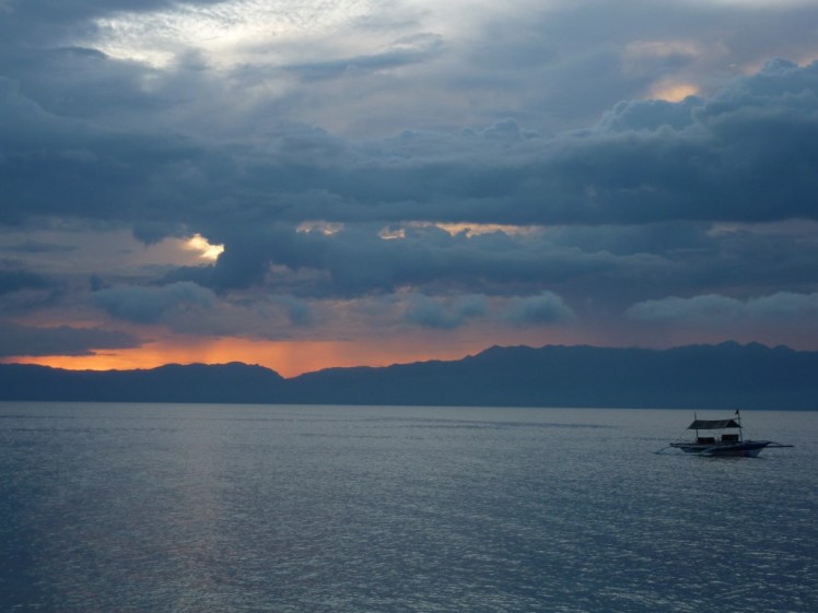 P1090547 (Medium).JPG