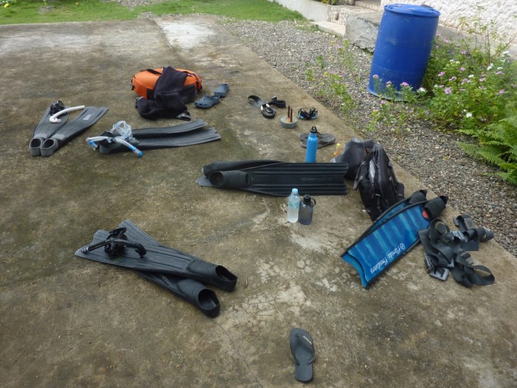 P1090553 (Medium).JPG