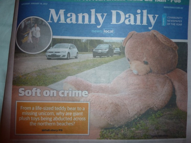 P1090990 (Medium).JPG