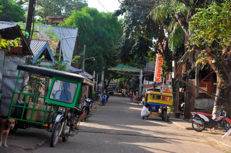 _DSC4231 (Medium).JPG