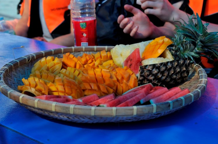 _DSC4253 (Medium).JPG