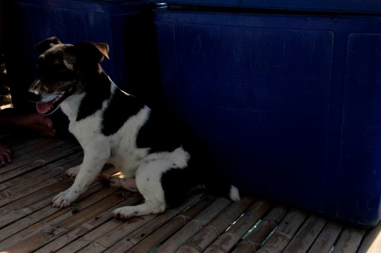 _DSC4267 (Medium).JPG