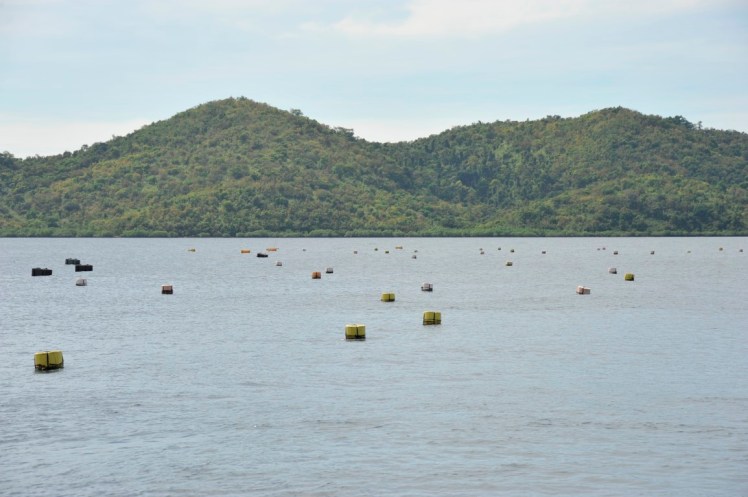 _DSC4273 (Medium).JPG