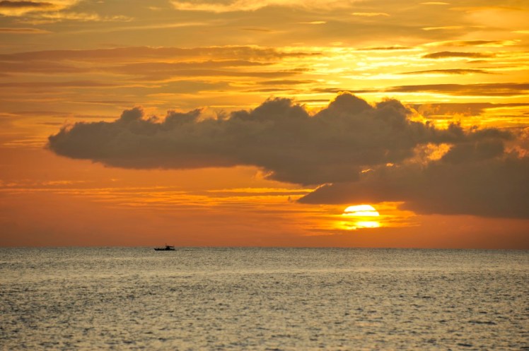 _DSC4402 (Medium).JPG